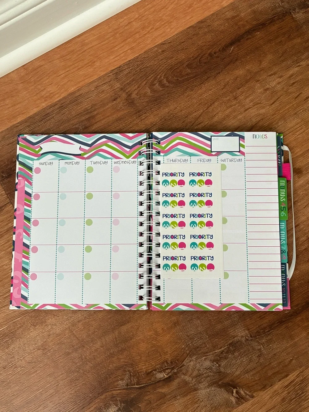 Denise Albright 12-Month Budget Planner, Bill & Expense Tracker, Undated, NWT